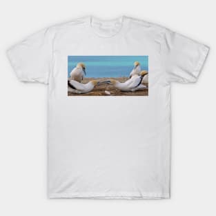 Gannets 2 T-Shirt